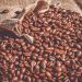 カルディでコーヒー豆の買い方のポイント！お得な購入方法をご紹介！